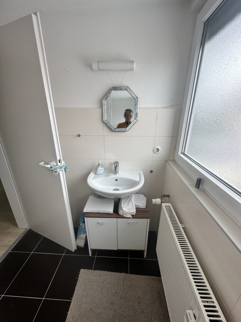 Kleine Badezimmer renovieren Tipps für die Gestaltung eines kleinen Badezimmers